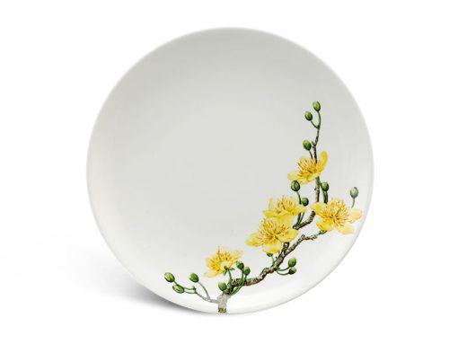 Dĩa tròn ảo 22 cm - Daisy IFP - Hoàng Mai