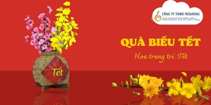 quà biếu tết - cây trang trí tết