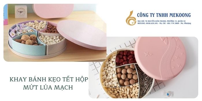 hộp đựng bánh kẹo tết lúa mạch